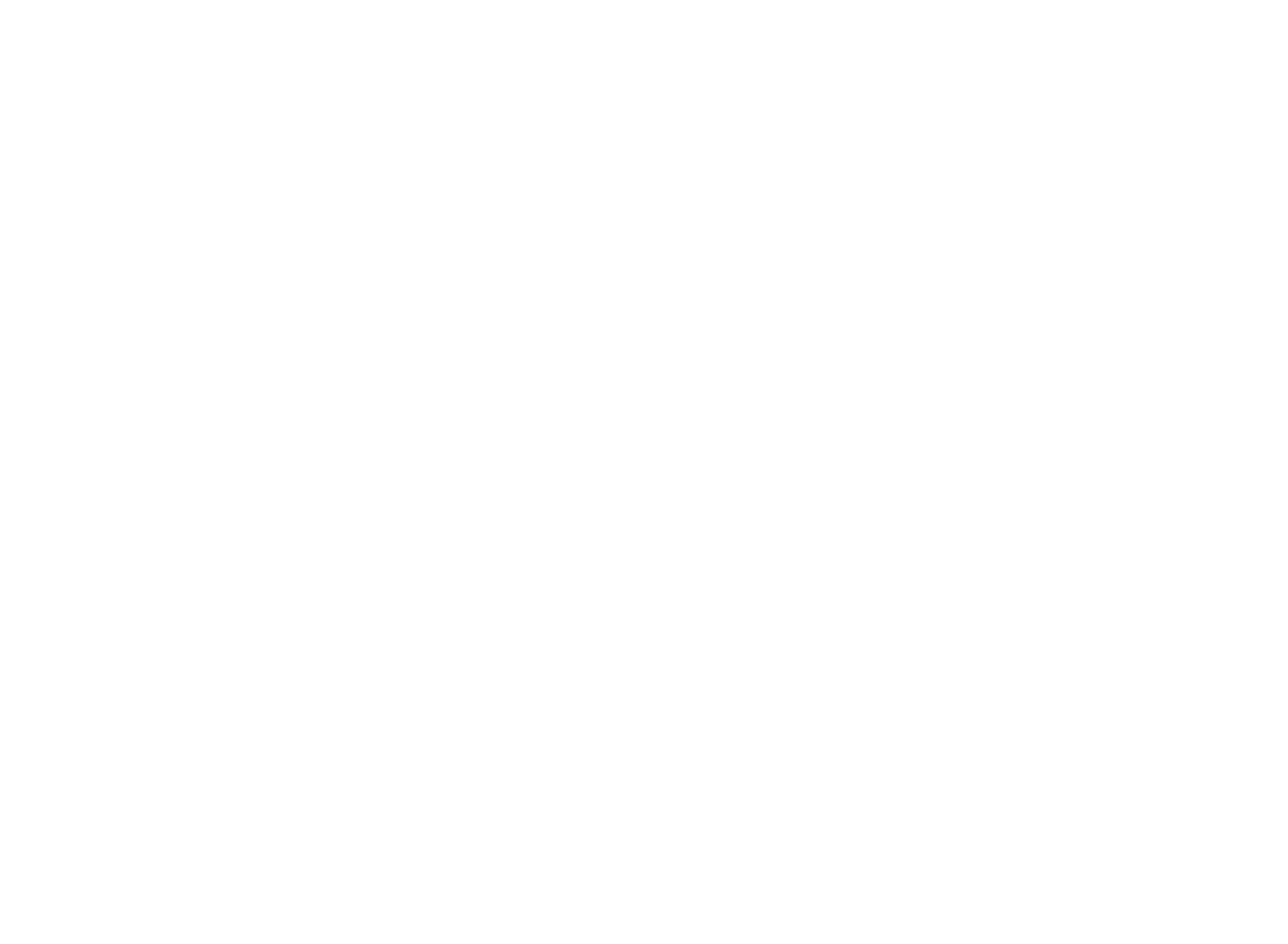 PaintDrew - Senior Grafisch Ontwerper